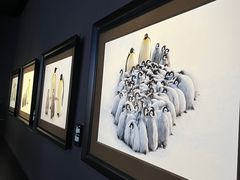 -罗红摄影艺术馆