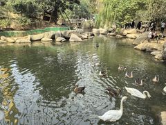 -临沂动植物园