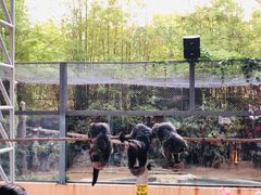 -清迈夜间动物园