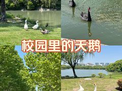-东华大学(松江校区)