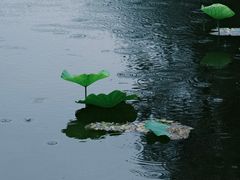 -长广溪湿地公园