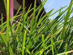-茂陵博物馆