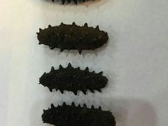 -棒棰岛辽参(长宁旗舰店)