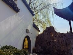 -桃花堤公园