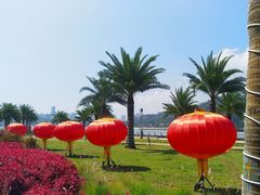 -野狸岛