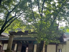 -宁波市保国寺古建筑博物馆