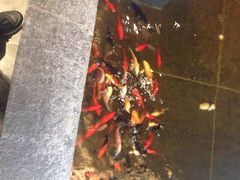 iphone_upload_pic-海尔洲际酒店天下一品中餐厅