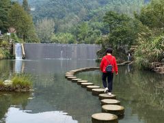 -夏霖九天银瀑风景区