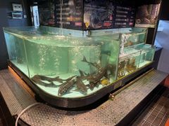 -贺庄·活鱼馆(珠吉路店)