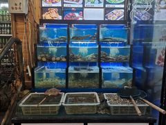 水产区-老东镇啤酒屋海鲜加工·蒸汽海鲜·海鲜烧烤(台东店)