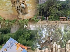 -云南野生动物园