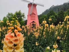 -顺峰山公园