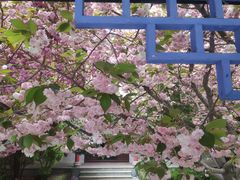 -石岛赤山风景区