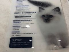 -心语宠物医院·急重症转诊中心·瑞辰华诺(南青路店)