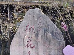 -金鸡湖桃花岛