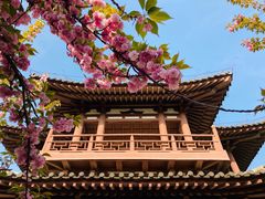-西安青龙寺遗址景区