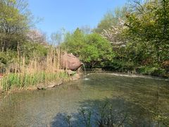 -南京市江宁方山