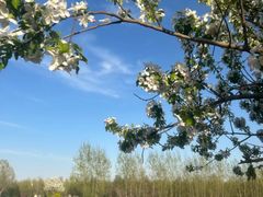 -君乐宝优致牧场