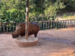 -泉州海丝野生动物世界