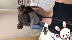 -大麦微针植发丨全国连锁