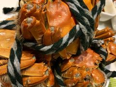 -北上海大酒店-北鸥西餐厅