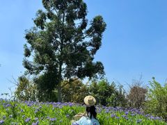 -白鹭湾湿地公园