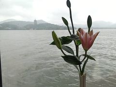 -柳莺湖上·湖景餐厅·江南菜(西湖店)