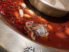 -新哥老官·畅吃123·美蛙世界(苏宁广场店)