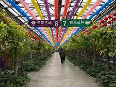 -南宫五洲植物乐园