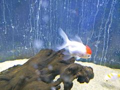 -运城海洋馆