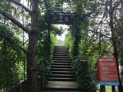 -云和湖仙宫景区