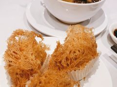 -食为先(Shark Fin)