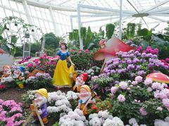 -石家庄市植物园