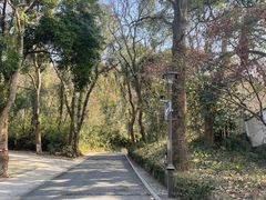 -杭州西湖风景名胜区-满觉陇四眼井