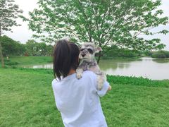 -艾溪湖湿地公园