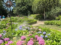 -上海共青森林公园