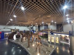 -国家自然博物馆