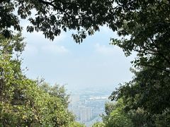 -惠山国家森林公园