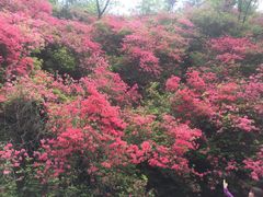 -木兰云雾山