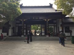 -南汇桃花村