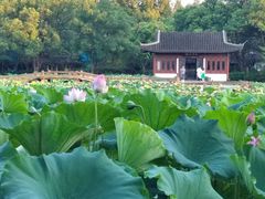 -杭州香格里拉饭店