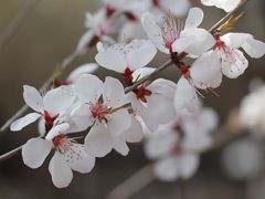 -迎泽公园
