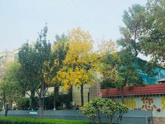 -拾味中点(泺文路店)