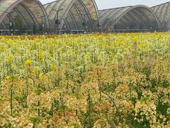 -中国天府农业博览园