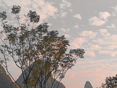 -会仙湿地