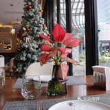 亮亮堂堂的意式小餐厅🍴