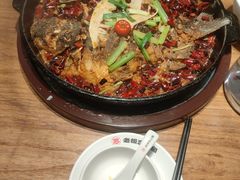 -老板恋上鱼(恒隆广场店)