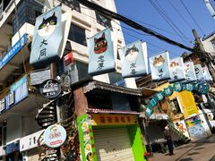 -猫咪博物馆(顶澳仔猫街店)