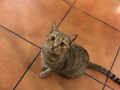 -厦门日月谷温泉渡假村