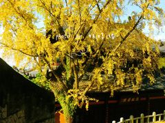 -大罗山风景区